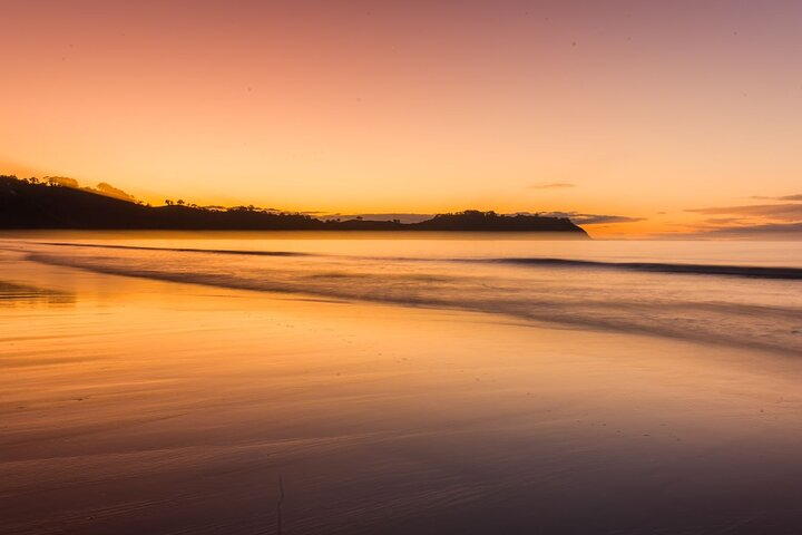  3.5 hour Sunset Tour on Waiheke Island - Photo 1 of 18